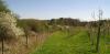 Obstgarten Griesbach